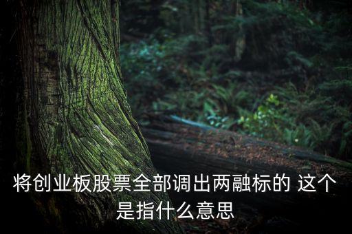 股票兩融是什么意思，兩融是什么意思