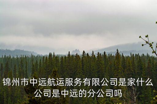 覽海上壽是什么公司，錦州市中遠航運服務(wù)有限公司是家什么公司是中遠的分公司嗎