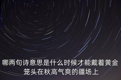哪兩句詩(shī)意思是什么時(shí)候才能戴著黃金 籠頭在秋高氣爽的疆場(chǎng)上