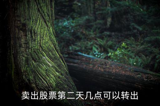 股票賣了錢什么時候可以轉(zhuǎn)出，股票成功賣出后多長時間可以從帳戶轉(zhuǎn)出資金