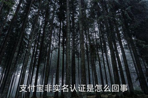 支付寶賬戶(hù)未實(shí)名認(rèn)證什么意思，支付寶非實(shí)名認(rèn)證是怎么回事