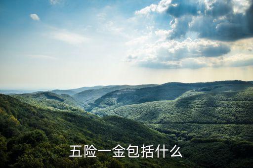 五險一金包括什么