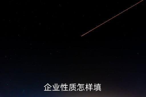 企業(yè)性質(zhì)怎樣填