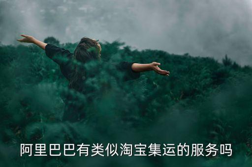 阿里巴巴有類似淘寶集運的服務嗎