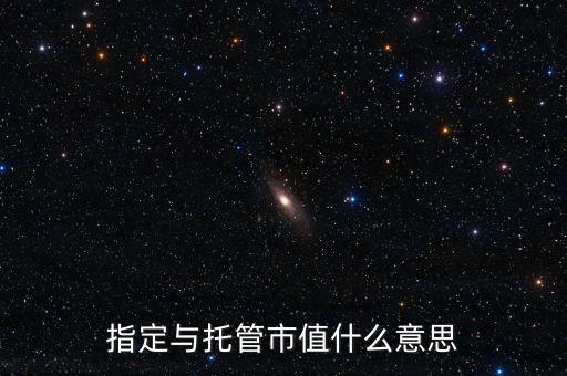 什么是市值托管，廣發(fā)證券市值委托是什么意思