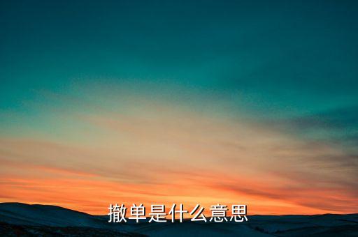 撤單是什么意思