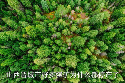 為什么礦山現(xiàn)在停產(chǎn)，為什么現(xiàn)在的礦業(yè)幾乎全部停產(chǎn)
