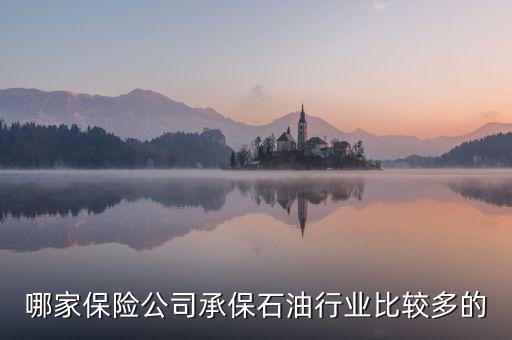 石油公司買什么保險(xiǎn)，哪家保險(xiǎn)公司承保石油行業(yè)比較多的