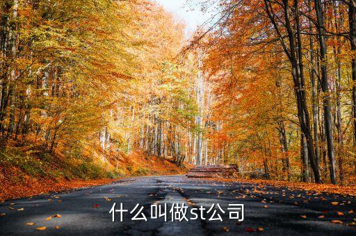 st陽化是什么公司，標志ST 是哪家鑄造廠的標識