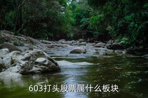 601608屬于什么板塊，600618屬于什么板塊