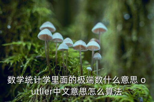 數(shù)學(xué)統(tǒng)計(jì)學(xué)里面的極端數(shù)什么意思 outlier中文意思怎么算法