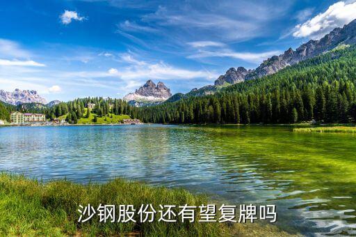 沙鋼股份什么時候復(fù)牌，沙鋼股份股票何時停牌