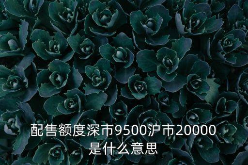 什么是配售額度，配售額度14000是什么意思