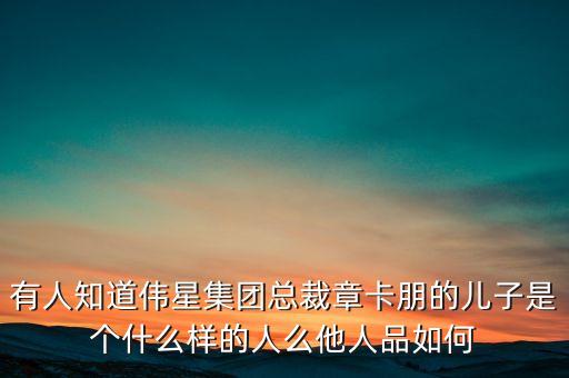秦維舟是什么人，灰色庭園里老有人說satanick什么的那位是誰(shuí)啊貌似也是個(gè)魔王級(jí)