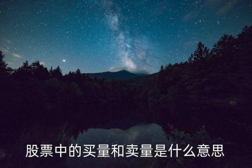 股票買(mǎi)量是什么意思，股市買(mǎi)量賣(mài)量是什么意