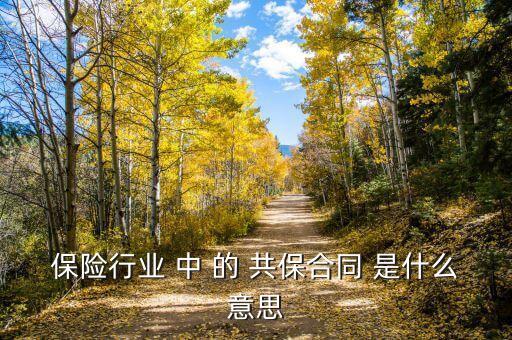 什么叫修正共保，什么是修正