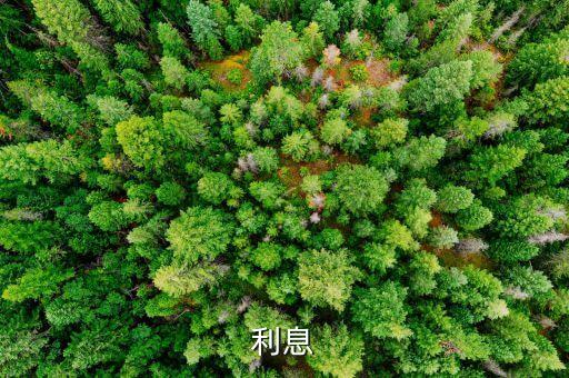 利息