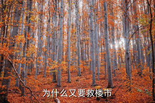 為什么要救房地產(chǎn)，為什么又要救樓市