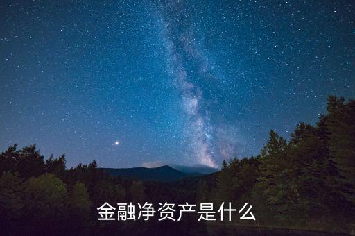什么是凈金融資產(chǎn)，什么是凈財(cái)富