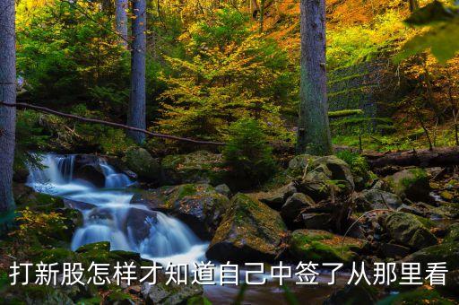打新股怎樣才知道自己中簽了從那里看