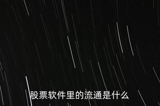 股票流通什么意思，股票軟件里的流通是什么