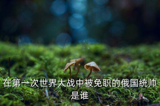 在第一次世界大戰(zhàn)中被免職的俄國統(tǒng)帥是誰