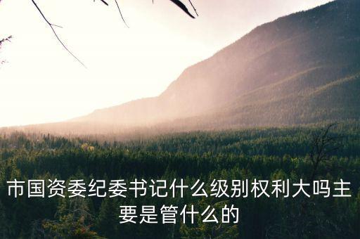 市國資委紀委書記什么級別權(quán)利大嗎主要是管什么的