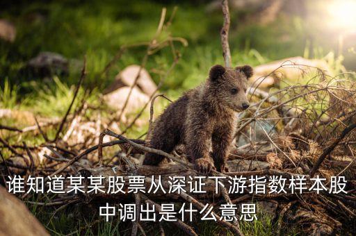 調(diào)出指數(shù)什么意思，調(diào)出深證成份指數(shù)是什么意思