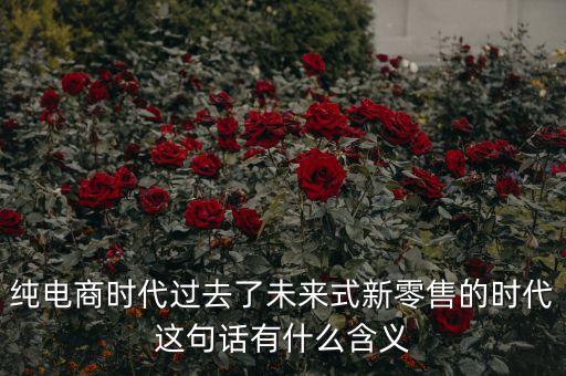 純電商是什么意思，淘寶純電商只在線上銷售什么意思