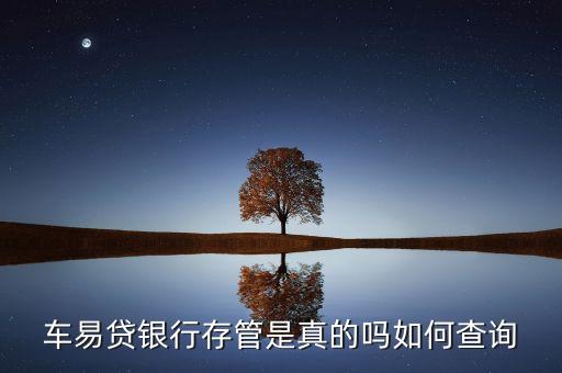 車易貸是什么意思，車易貸銀行存管是真的嗎如何查詢