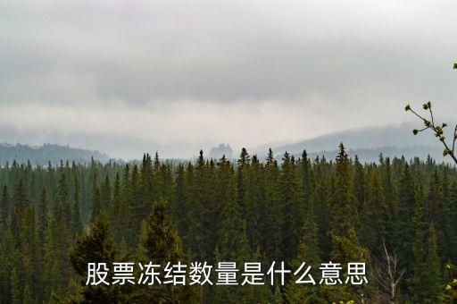 什么是凍結數(shù)量，股票在資金帳號上 什么是凍結數(shù)量