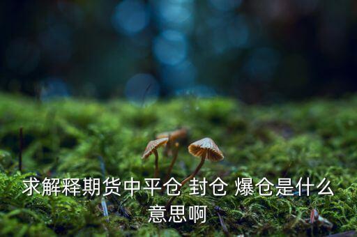 求解釋期貨中平倉(cāng) 封倉(cāng) 爆倉(cāng)是什么意思啊
