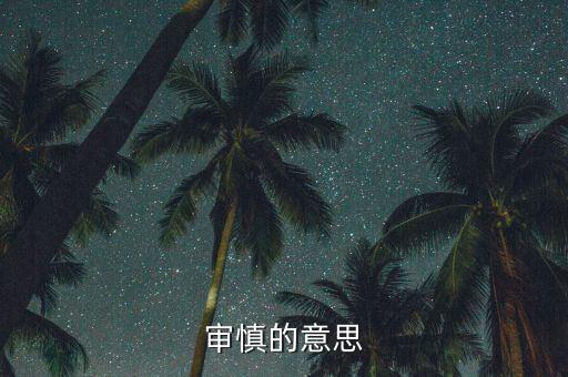 股票審慎審核是什么意思，股票審核類型審慎審核是什么意思