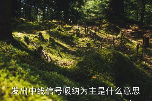 發(fā)出中線信號吸納為主是什么意思