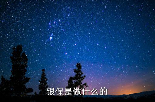 銀保是做什么的