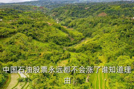 中國(guó)石油為什么套牢，中石油什么把中國(guó)股民都套牢