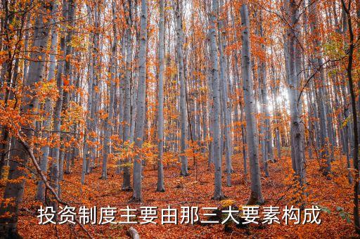 什么構(gòu)成了投資，投資制度主要由那三大要素構(gòu)成
