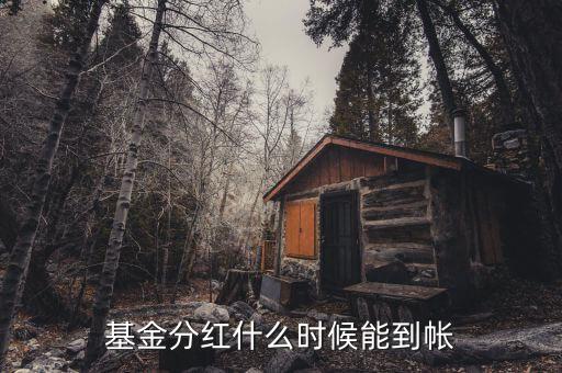 基金現(xiàn)金分紅什么時候到賬，基金現(xiàn)金分紅何時到賬