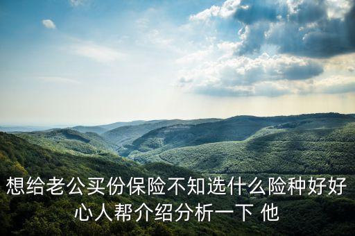 想給老公買份保險不知選什么險種好好心人幫介紹分析一下 他