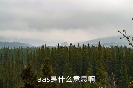 股票里aas什么意思，AAS是什么意思