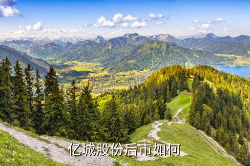 億城投資為什么停盤，000616億城股份能買嗎 他的k線說明什么 怎么前天的 單獨(dú)出去一根