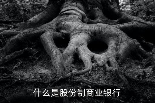 什么是股份制銀行，請問 股份制商業(yè)銀行 是什么意思啊