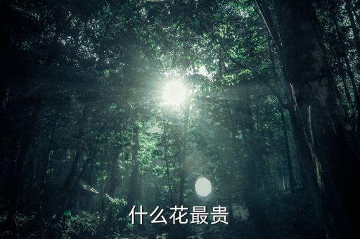 什么花較貴，什么花最貴