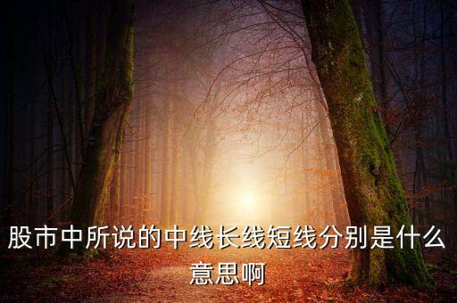 股市中所說的中線長線短線分別是什么意思啊