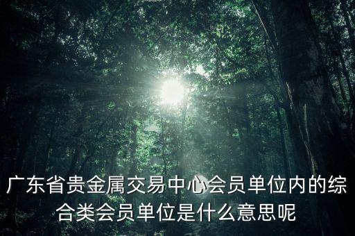 廣東省貴金屬交易中心會(huì)員單位內(nèi)的綜合類會(huì)員單位是什么意思呢
