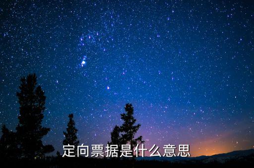 定向票據(jù)是什么意思