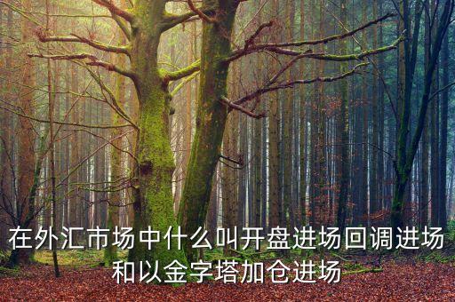 在外匯市場中什么叫開盤進場回調(diào)進場和以金字塔加倉進場