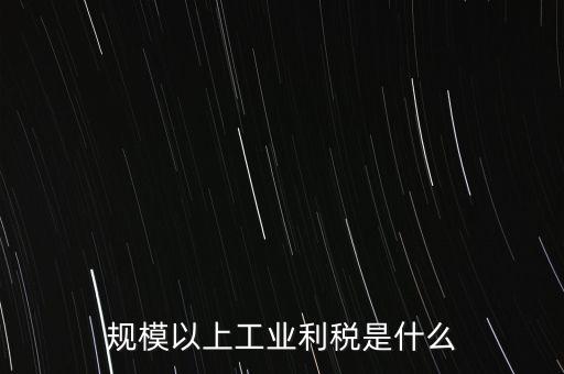 規(guī)模以上工業(yè)利稅是什么