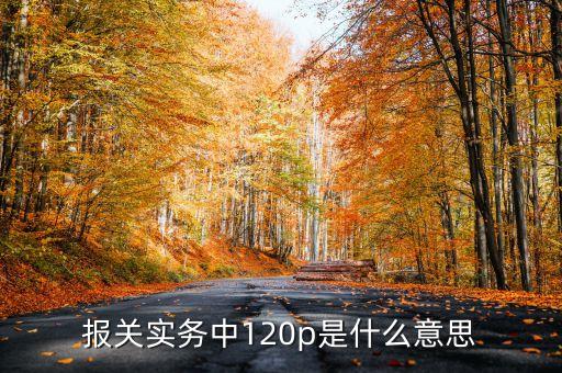 報關(guān)實(shí)務(wù)中120p是什么意思