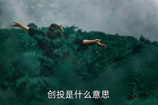 創(chuàng)投是什么意思